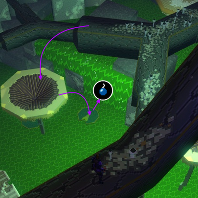 Land on the lily pad, bomb the indicated area, then quickly jump into the hole you created.