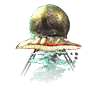 File:Rainbow Jellyfish.webp