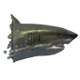 File:Shark.webp