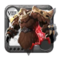Elder's Judicator Armor