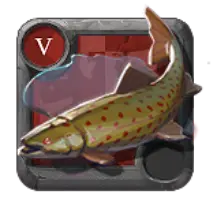 File:Spotted Trout.webp