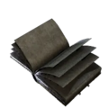 Thumbnail for version as of 00:11, 13 November 2024
