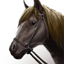 File:TUI Icon Mount Grounded Horse 4.webp