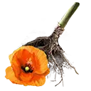 File:TUI Icon Consumable RootingBall Poppy.webp