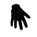 Thumbnail for version as of 00:10, 13 November 2024