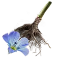 Thumbnail for version as of 13:49, 13 May 2025