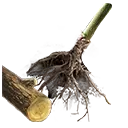 File:TUI Icon Consumable RootingBall Oak.webp