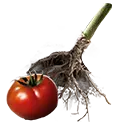 File:TUI Icon Consumable RootingBall Tomato.webp