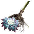 Thumbnail for version as of 13:49, 13 May 2025