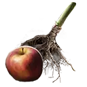 File:TUI Icon Consumable RootingBall Apple.webp