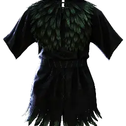 File:TUI Icon Gear Armor Light Chest BlackFeatheredTunic.webp