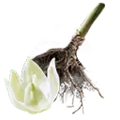Thumbnail for version as of 13:49, 13 May 2025