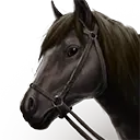 File:TUI Icon Mount Grounded Horse 1.webp