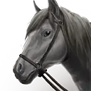 File:TUI Icon Mount Grounded Horse 5.webp
