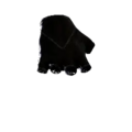Thumbnail for version as of 00:10, 13 November 2024