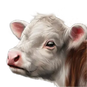 File:TUI Icon Livestock Baby Cow ResBag.webp