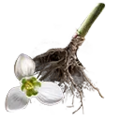 Thumbnail for version as of 13:49, 13 May 2025