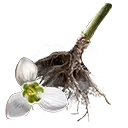 File:TUI Icon Consumable RootingBall Snowdrop.webp