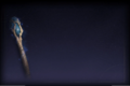 Thumbnail for version as of 22:28, 18 November 2024