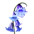 Thumbnail for version as of 16:47, 12 May 2025