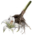 File:TUI Icon Consumable RootingBall GraveLily.webp