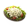 File:TUI Icon Consumable Food ChickenSalad.webp