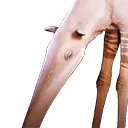 File:TUI Icon Mount Grounded Daystrider.webp
