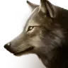 Thumbnail for version as of 02:24, 18 November 2024
