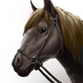 Thumbnail for version as of 02:24, 18 November 2024