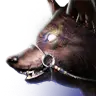 Thumbnail for version as of 02:24, 18 November 2024
