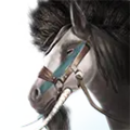 Thumbnail for version as of 02:24, 18 November 2024