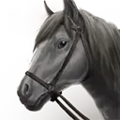Thumbnail for version as of 02:24, 18 November 2024