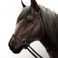 Thumbnail for version as of 02:24, 18 November 2024