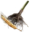 File:TUI Icon Consumable RootingBall Barley.webp