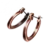 File:TUI Icon Gear Accessory Earring Copper.webp