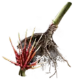 Thumbnail for version as of 13:49, 13 May 2025