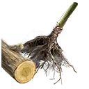 File:TUI Icon Consumable RootingBall WeepingWillow.webp