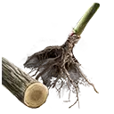 File:TUI Icon Consumable RootingBall Ash.webp