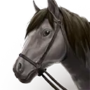 File:TUI Icon Mount Grounded Horse 0.webp