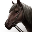 File:TUI Icon Mount Grounded Horse 3.webp