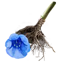 File:TUI Icon Consumable RootingBall GiantBluebell.webp