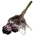 Thumbnail for version as of 13:49, 13 May 2025
