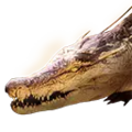 Thumbnail for version as of 22:15, 30 March 2025