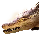 File:TUI Icon Mount Grounded Crocodile.webp