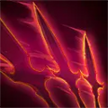 Thumbnail for version as of 22:13, 30 March 2025