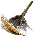 File:TUI Icon Consumable RootingBall Wheat.webp