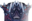 Elemental Mastery