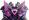 Assassin's Edge