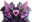 Assassin's Edge