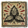Elderbloom
